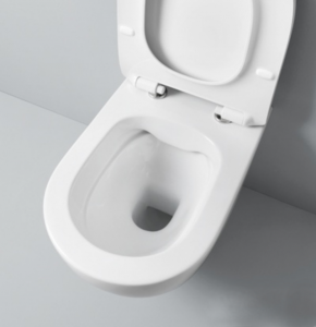 PROMO Set DUOFIX FILE 2.0 Hung Toilet and WC Element 