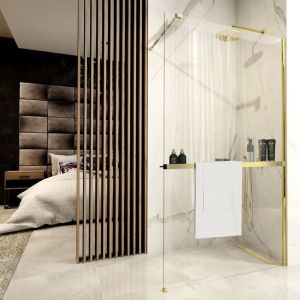 REA AERO N EVO GOLD Walk-in Shower Wall